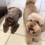 Cocomi Instagram - Lucky🤟🏻