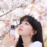 Cocomi Instagram - ディオールのメゾン クリスチャン ディオール 「サクラ」を京都で撮影してきました‼️ 香りは桜の繊細な柔らかな花びらや、春から初夏にかけての爽やかさを感じました。桜花爛漫から葉桜になる瞬間の風を、香水にして閉じ込めたかのようでした。 是非皆さんもこの春、チェックしてみてください！ @diorbeauty @dior #メゾンクリスチャンディオール　#supportedbydior