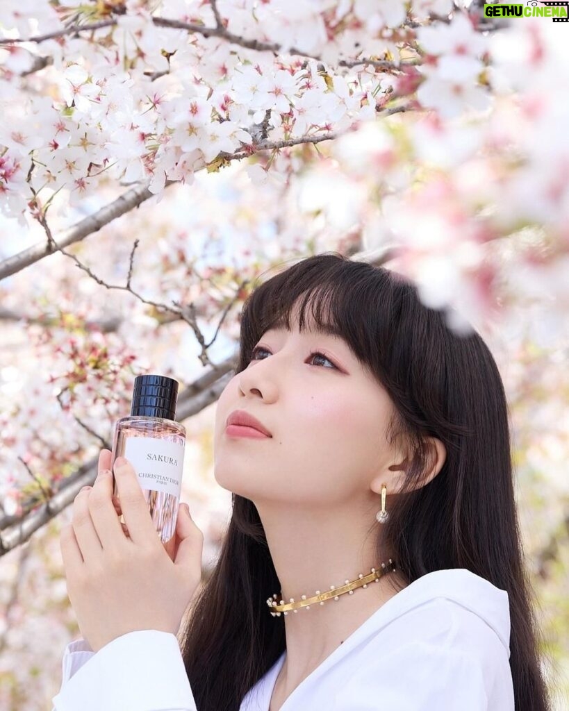 Cocomi Instagram - ディオールのメゾン クリスチャン ディオール 「サクラ」を京都で撮影してきました‼️ 香りは桜の繊細な柔らかな花びらや、春から初夏にかけての爽やかさを感じました。桜花爛漫から葉桜になる瞬間の風を、香水にして閉じ込めたかのようでした。 是非皆さんもこの春、チェックしてみてください！ @diorbeauty @dior #メゾンクリスチャンディオール　#supportedbydior