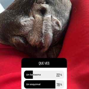 Connie Ballarini Thumbnail - 12.1K Likes - Most Liked Instagram Photos