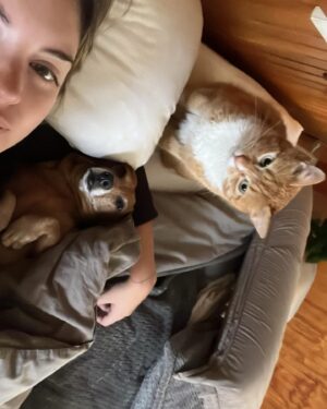 Constanza Piccoli Instagram - Mi familia para siempre 💕🐶 🐈 

Tengo MILES de estas fotos jajaj me puse a revisar y literal el 80% de mis selfies son con bambo o el Igna 😍 
Gracias por ser mis hijos y amarme tanto todo los días 🧡🫶🏻
