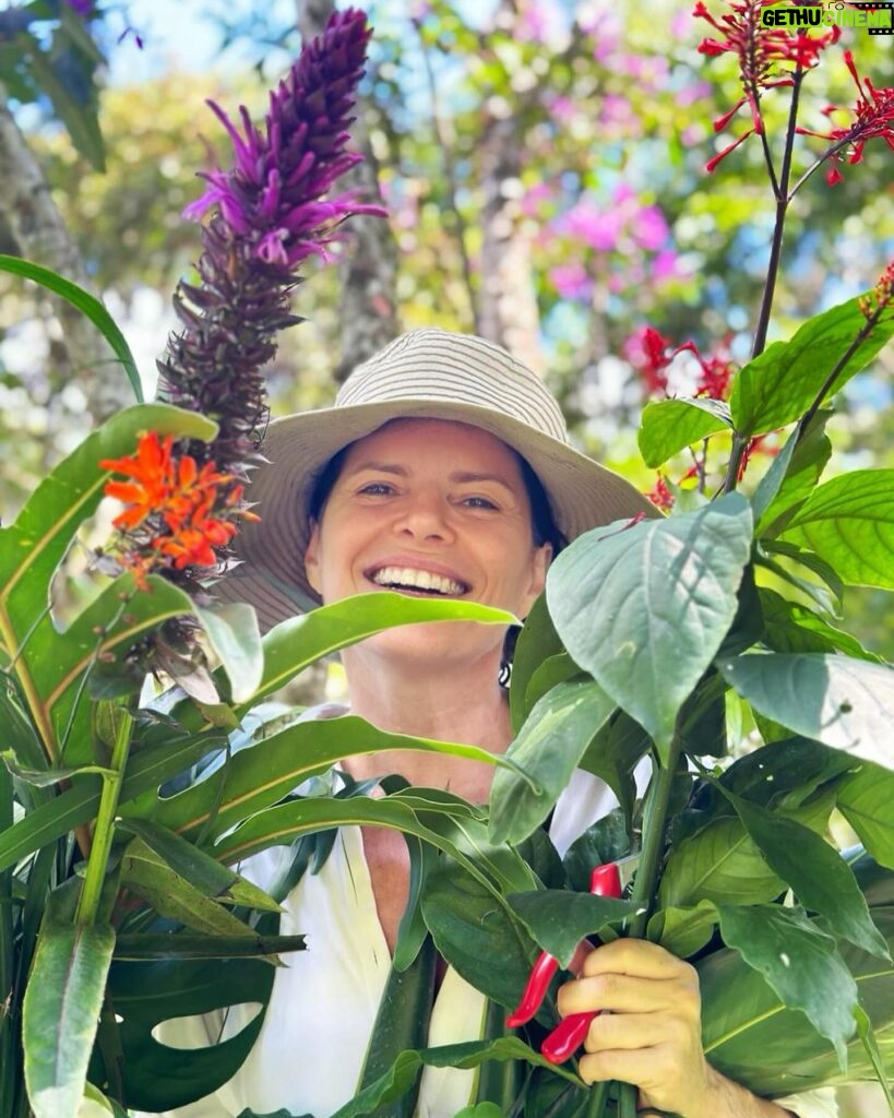 Débora Bloch Instagram - #blogueirinhadanatureza colhendo flores do jardim 🌷🌷🌷