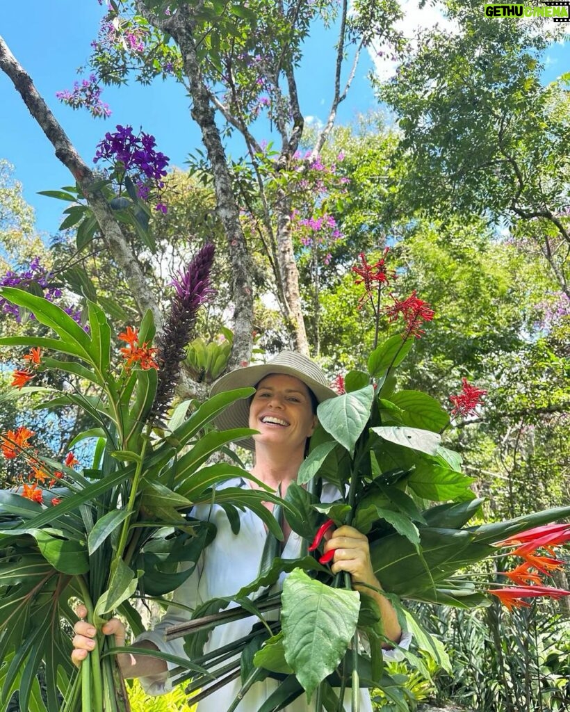 Débora Bloch Instagram - #blogueirinhadanatureza colhendo flores do jardim 🌷🌷🌷