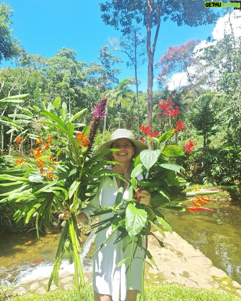 Débora Bloch Instagram - #blogueirinhadanatureza colhendo flores do jardim 🌷🌷🌷