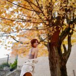 Dada Chan Instagram - 𝓛𝓲𝓼𝓽𝓮𝓷𝓲𝓷𝓰 𝓽𝓸 𝓽𝓱𝓮 𝓶𝓮𝓵𝓸𝓭𝔂 𝓸𝓯 𝓶𝓪𝓹𝓵𝓮 𝓵𝓮𝓪𝓿𝓮𝓼, 𝓽𝓱𝓮 𝓯𝓵𝓸𝔀𝓮𝓻𝓼 𝓸𝓲𝓴𝓮 𝓼𝓽𝓪𝓻𝓼. 🍁 學校門口的大樹 🐿️