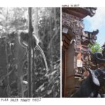 Dafne Keen Instagram - Bali photo journal