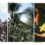 Dafne Keen Instagram - Bali photo journal