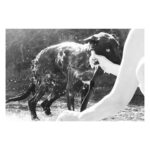 Dafne Keen Instagram - Some black and white shots of loved ones I’ve taken over the years
