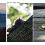 Dafne Keen Instagram - Bali photo journal
