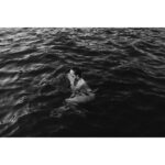 Dafne Keen Instagram - Some B&W shots I took on a boat trip a couple days ago