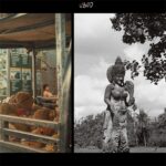 Dafne Keen Instagram - Bali photo journal pt.2