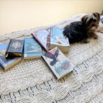 Dalila Bela Instagram - Some books that I’ve been reading over quarantine!! What books have you guys been reading? #booklover #booknerd #bookworm
