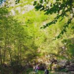 Dana Rogoz Instagram - 125/366 Hristos a Inviat! Ieri am avut o zi atat de plina, ca a trebuit sa facem un efort seara sa ne aducem aminte tot traseul și toate opririle. Ne-am trezit in autorulota noastra privind Muntii Trascaului din Rimetea. Dupa mic dejun, am bagat o leapsa in familie, care ne-a epuizat pe mine si pe Radu. Iar apoi am impachetat tot și ne-am continuat drumul spre Salciua. Am mai oprit de vreo 5 ori pentru pescuit, caci fratele meu e un pescar pasionat. Am facut si un traseu scurt spre pestera Huda lui Papara, care le-a placut mult copiilor. Iar pe seara, am campat chiar lângă Manastirea Sub Piatra, de unde am fost sa luam lumina in Noaptea de Inviere. A fost chiar emoționanta slujba, alături de maicute, dar si drumul nostru inapoi spre autorulota cu lumanarile aprinse.