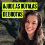 Dani Moreno Instagram - Comente "búfalas" para receber o link de inscrição!🐃 #AjudeAsBúfalasDeBrotas A Geração Vegana vai doar 1 dólar para os santuários @ahimsa.santuariovaledarainha e @ranchodosgnomos por cada inscrição em um de seus programas gratuitos sobre veganismo. Incrível, né? 🌱 Ao se inscrever, você vai receber newsletters diárias, pelo tempo que escolheu, recheadas de conteúdo sobre veganismo, com muita informação, receitas, dicas e muito mais! E o melhor: é de graça! ⚡ 🐃 Comente "búfalas" e receba o link para se inscrever gratuitamente. #ParaTodesVerem: Dani Moreno é uma mulher branca de cabelo loiro escuro, veste uma camiseta preta escrito “vegan”. O vídeo também mostra imagens das búfalas de Brotas. #Veganismo #Búfalas #AmoAnimais #AmorAosAnimais #BúfalasDeBrotas