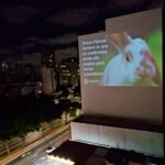 Dani Moreno Instagram - Nessa Páscoa, aconteceu uma ação nacional pra o fim dos testes em animais para cosméticos no Brasil. O coelho que é o símbolo dessa data, é um dos animais mais usados em laboratórios para testar produtos. Há 10 anos organizações e personalidades que lutam pelos direitos animais tentam aprovar uma lei que acabe com os testes e agora é a retal final. Precisamos votar o Projeto de Lei 3062/2022 para proibir TODOS os testes. O Projeto de Lei já foi aprovado anteriormente no Senado, e está pronto para ir ao Plenário da Câmara dos Deputados. O próximo passo é que o presidente da Câmara, Arthur Lira, coloque o PL em votação. E você pode ajudar! Reposte nos seus stories e marque @oficialarthurlira pedindo para colocar o PL 3062/2022 em votação! #direitosanimais #testesemanimais #arthurlira