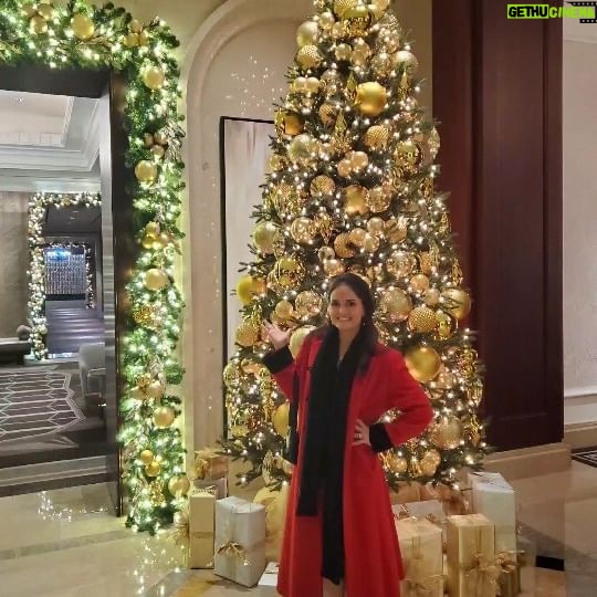 Danica McKellar Instagram - What a busy Christmas season full of blessings of all kinds!! Wishing you all a beautiful and RESTFUL last few days of the year, and peace in your heart as we approach 2024... hugs to you all!! 🤗🎄🥰