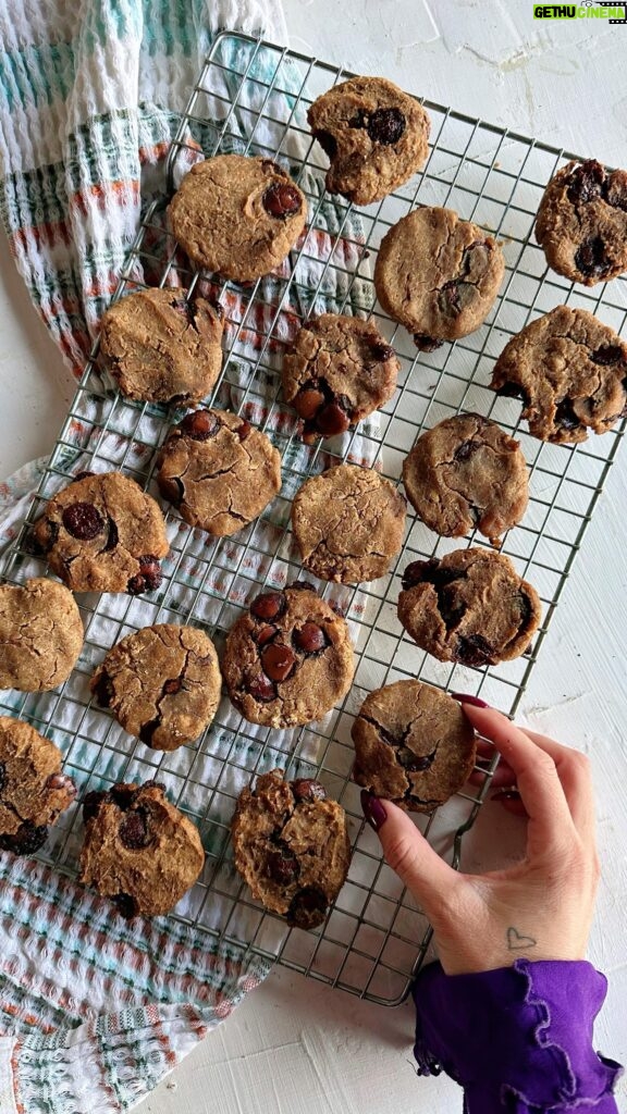 Daniela Castro Instagram - Galletas saludables de garbanzos con chips de chocolate! 🍪🥜🍫 Libres de harinas refinadas y sin azúcar añadida! Obvio junto a @iansa_agro que llegó para salvarme todos los días con sus productos! #ladaniysureceta #elsaborgenuino #iansa_agro #colaboracion ✨ Guapirulis! Esta receta es mi nueva salvadora! tengo algo en el intestino y no sabemos aun bien cuantas cosas son, hay que hacer más exámenes entre ellos el de SIBO. No pensé que lo pasaría tan mal. Por ahora y un buen tiempo no puedo comer harinas refinadas, y quizás mas adelante cuantas cosas mas no podré comer. Pero no me quiero desanimar, hacer recetas ahora es un mundo muevo para mi y espero esta receta les sirva para su estómagos o simplemente para comer mas saludable! Me van a acompañar junto a mis recetas en este proceso estomacal que es laaaargo y un poco frustrante pero nos vamos a apoyar! Les dare muchas recetas saludables pondré mi creatividad con todo para tener soluciones ñami! ✨Les juro que el resultado esta buenisimo! Acá se las comieron todas y no podían creer que fueran de garbanzos! ✨Remoja 15 dátiles trozados en agua caliente por 7 min y escurre ✨Procesa 1/2 taza de harina integral (si no tienen problemas usen la que quieran) , 2 cdas de mantequilla de maní, 2 cajas de los salvadores garbanzos de @iansa_agro escurridos, 1 cdta de polvo de hornear, 1 cdta de bicarbonato, 1 cdta de vinagre, 1 cda de esencia de vainilla, una pizca de sal y procesa. Hazlo con. Calma y si es necesario agrega el agua de los garbanzos ✨Cuando se procese todo, agrega 1 taza de chips o trozos de chocolate dulce, mezcla, refrigera por 20 min y luego con las manos forma bolitas del tamaño de una nuez, aplasta, hornea 20-25 min a 200 grados y listo! Deja enfriar y probaras las galletas mas saludables de tu vida! ✨ espero les guste esta receta de mi nuevo estilo de vida!