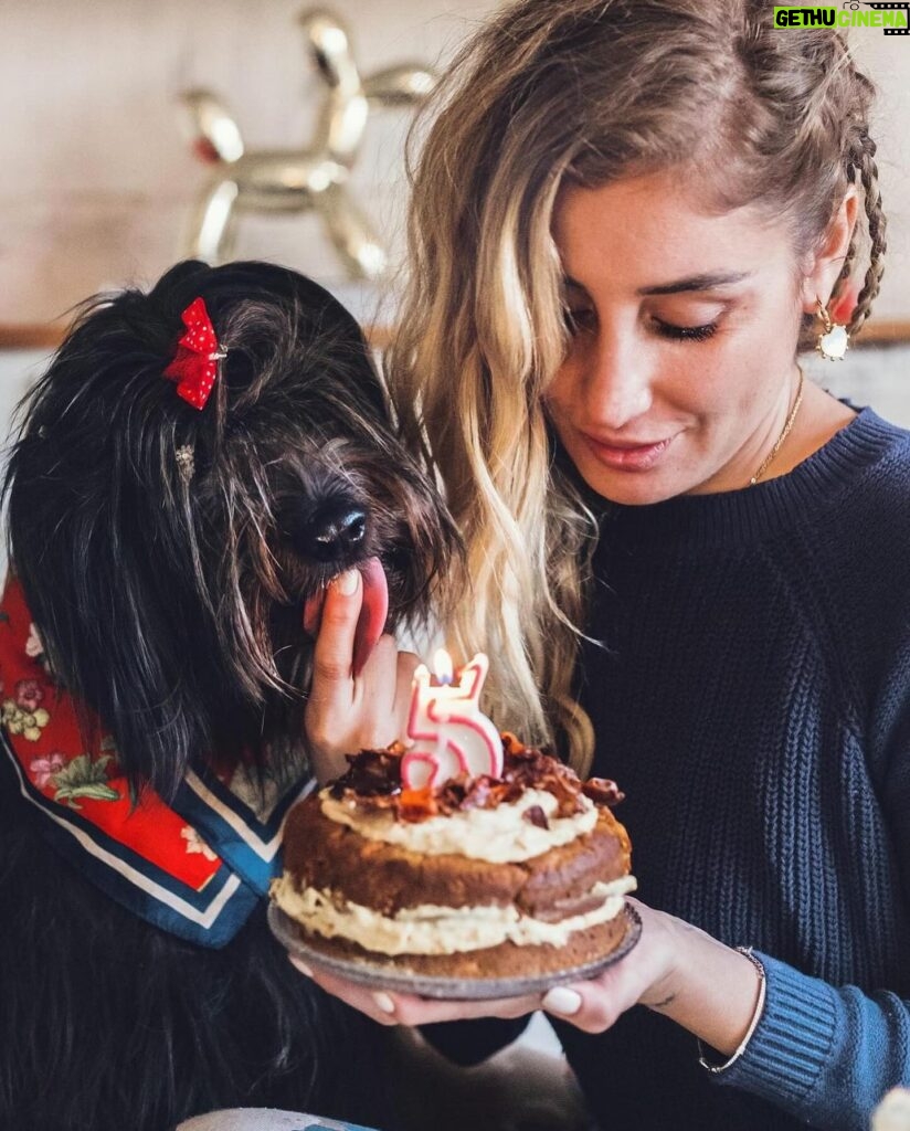 Daniela Castro Instagram - #10 •Chalota• 🐶❤️🐾🎊 Cuando la adopté le prometí que estaría siempre para ella y ella me prometió que no me soltaría. Y así ha sido por 9 años. Bolita de pelos con ojos de aceituna, tufito de erizo y dientes de farkas: haces que mi vida sea más feliz… haces que mi vida sea vida 💘 1. Chaloti gozando su torta 2. Foto cumpleañera 3. Su edición Chaloti Malibú y ambas nos hicimos trenzas con conchitas jajaja 4. Lo que me demoro en ponerle su arnés y su emoción infinita 5. Chalota’s Cake. Hecha por mi. Si quieres receta reel denle like al comentario que dejaré por si o por no 6. La trencita Chalota Malibu 7. Cuando cumplió 5 (la torta era menos elaborada) 8. Estos abrazos me dan años de vida. Así la tomo antes de las escaleras mecánicas 9. Ares y Chalota. 💘 ella es muy buena hermana, un poco mandona, pero buena 10. Cuando trabajé en la radio los 40 íbamos todos los días juntas y ella saludaba a todo el equipo 11. Guapo y Chalota. 😇 se que le costó mucho su partida, lo acompañó a su lado hasta que el ultimo minuto que lo llevamos a dormir 12. Chalota en la gala de viña. Lit fui porque la invitaron a ella 13. Chalota y Rey 👑. Gracias por aceptar siempre a todos los peyis que vienen a la casa 14. El día que llegó. Chaloti con 8-9 meses y yo con 9 años menos. Guaf!