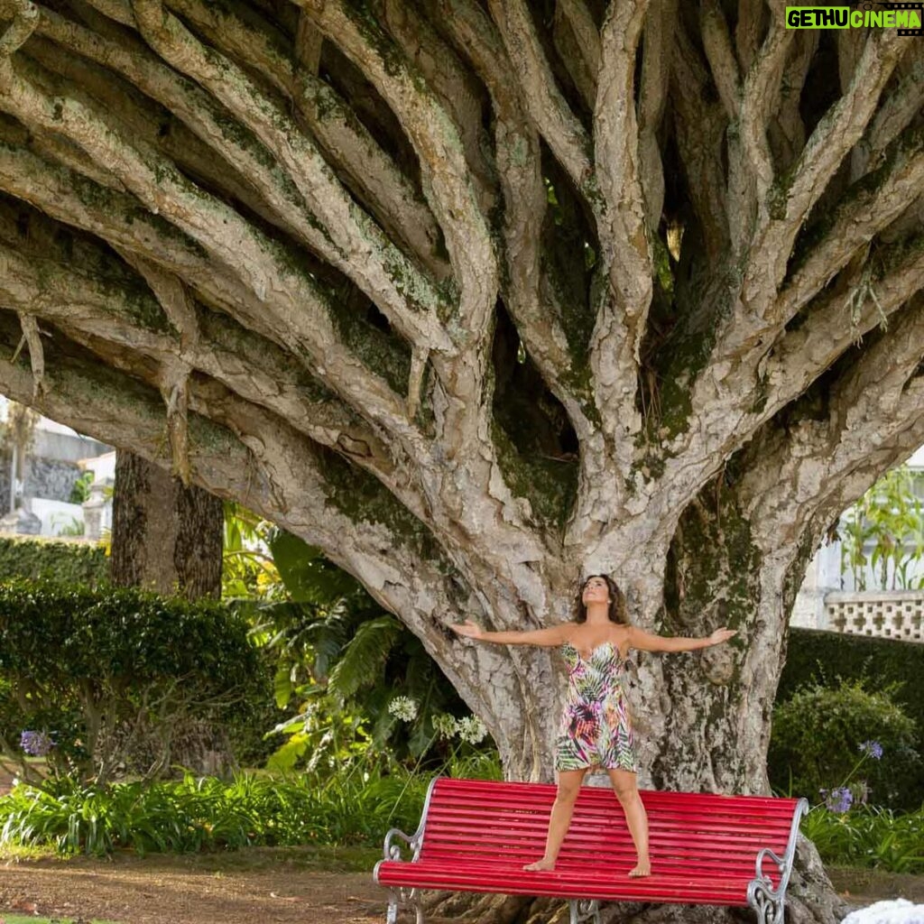 Daniela Mercury Instagram - Eu sou selva Eu sou sonho #fotosceliasantos #danielamercury #ilhadofaial