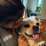 Daniella Salvi Instagram - My sweetie Coco ❤️ You were with us 16 beautiful years since I was 8 years old. This is so hard for me, I wish you were still here Coco :( I couldn’t leave a room without you looking for me and barking for me to come back to you and hold you. Our love was beyond words. It was pure, it was innocent and it made me who I am today. I love you forever my babyboy. Thank you for being the amazing baby you were to me. Now you can rest with your brother Sparky in heaven. My forever angels ❤️ I can’t thank you both enough for growing up with me. I miss you forever ♾️