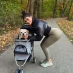 Daniella Salvi Instagram - My baby Coco’s first time in his stroller! 🐶❤️ My angel is turning 16 soon and is still so strong and full of life but he gets tired after 5-10 minutes into walking now. So we got him a stroller so we can go to more places together 🥰🍂 He loves observing his surroundings 🤍 jacket: @revolve