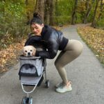 Daniella Salvi Instagram - My baby Coco’s first time in his stroller! 🐶❤️ My angel is turning 16 soon and is still so strong and full of life but he gets tired after 5-10 minutes into walking now. So we got him a stroller so we can go to more places together 🥰🍂 He loves observing his surroundings 🤍 jacket: @revolve