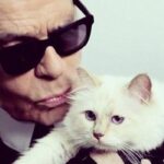 Devon Aoki Instagram – Karl Lagerfeld, 10 September 1933 – 19 February 2019.  Rest In Peace 🌹💫