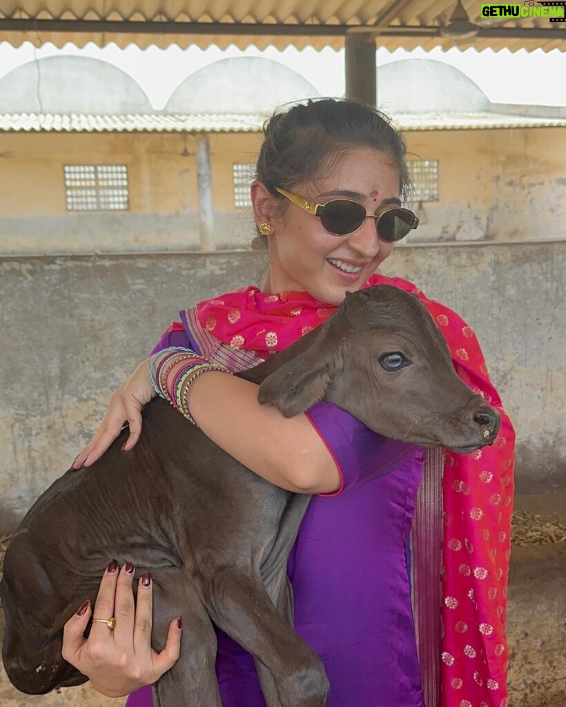 Dhvani Bhanushali Instagram - Visited the first hospital in our Bhavanipur Kutch with my dadu made by him in loving Memory of my dadi ❤ Held a baby calf❤ thousands of them rescued and taken care of Spent such quality time with my whole family ❤ Also, A very Happy Ramnavmi 🙏