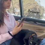 Diana Penty Instagram - Did someone say it’s ‘National Pet Day’ today? Must introduce you all to our cat family! Say hello to Bagheera, Sher Khan, Alice, Matilda, Tenor, Treble, Lea, Lana, Lara and Baby. A cat for every day of the week…and then some 😹🐈‍⬛ #NationalPetDay #CatLove #CatsOfInstagram