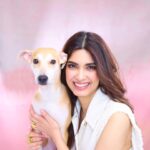 Diana Penty Instagram - Just as 𝐁𝐢𝐬𝐜𝐮𝐢𝐭 found a home to call her own, we hope to see 𝐀𝐝𝐫𝐚𝐤 find his forever family too. Adrak is a shy sweetheart who turns into a super fun ball of energy once he opens up. He loves to be loved, and will steal your heart with his vulnerable, sweet moments of affection. For anyone looking to adopt, please consider Adrak. He is neutered (sterilised), fully vaccinated and would make the perfect addition to your family ☺️❤️ Contact @worldforallanimaladoptions for more information. Also, a big shoutout to @petaindia and @worldforallanimaladoptions for making this possible for so many of our furry friends!