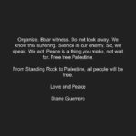 Diane Guerrero Instagram - “I was going to die, if not sooner then later, whether or not I had ever spoken myself. My silences had not protected me. Your silence will not protect you. But for every real word spoken, for every attempt I had ever made to speak those truths for which I am still seeking, I had made contact with other women while we examined the words to fit a world in which we all believed, bridging our differences. And it was the concern and caring of all those women which gave me strength and enabled me to scrutinize the essentials of my living.” Audre Lorde #freepalestine #ceasefirenow