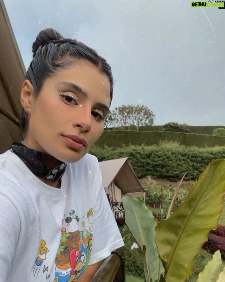 Diane Guerrero Instagram - Yoshi in COlombia. Scarf by @urbannativeera @glampinglesetoiles