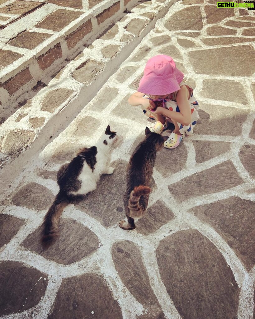 Diane Kruger Instagram - The biggest cat lover there ever was 🐈