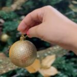 Dinah Moraes Instagram - Esse ano estou super empolgada com meu Natal e a COCA-COLA junto com o Felipe Amorim criou um jingle de Natal! Esse ano o Natal vai ser incrível! #natalcocacola #amagiaAcontece