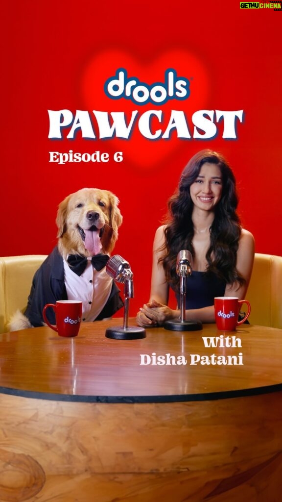 Disha Patani Instagram - A bark-tastic episode of the PAWCAST with my furry companion, powered by @droolsindia 💪🏻❤️ #droolsindia