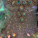Dita Von Teese Instagram - A closer look at one of identical corsets made by @catherinedlish for @TaylorSwift and I wore for the #bejeweled video in my #giantmartiniglasses ✨🍸🍸✨ *If you think that’s something, wait til you get a load of the copious amounts of #Swarovski crystal on the #Glamonatrix tour!