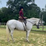 Dita Von Teese Instagram - Just came home from learning #sidesaddleriding in Maryland with @fencelinesart and Mister Bleu. I’m a novice rider; I only started casually taking dressage lessons about ten years ago. Special thanks to #BeccaHolland for introducing me to Christina and her lovely family 💛 and much admiration to all the #sidesaddle enthusiasts!