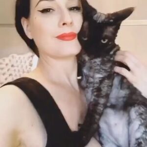 Dita Von Teese Instagram - Since it’s #nationalpetday here’s my favorite video with @aleistervonteese , my soul mate kitty for nearly 18 wonderful years. @berliozvonteese and @mademewsellevonteese and Alphonse Batrick are making their best efforts to fill his 🐾 
#devonrex #devonrexcat #aleistervonteese
