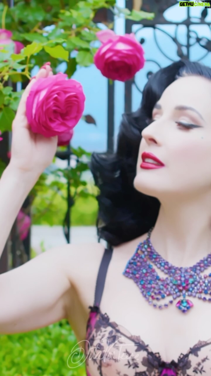 Dita Von Teese Instagram - My absolute favorite @ditavonteeselingerie set is Victresse. It’s at ditavonteeselingerie.com and our new uk.ditavonteeselingerie.com site! Glam @gregoryarlt @hisvintagetouch Jewels @parenteconnie 🎥 @jeremydangerpictures