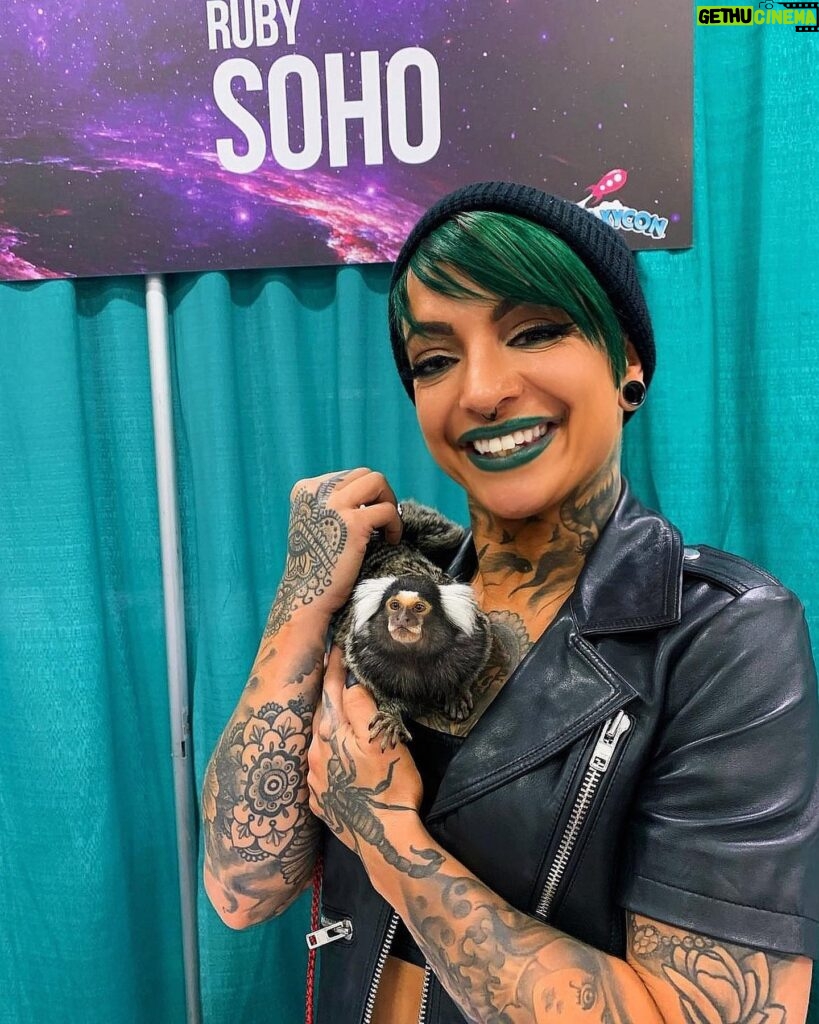 Dori Prange Instagram - The highlight of my @galaxyconcolumbus weekend was this little guy. His name is Georgie. We are now best friends.