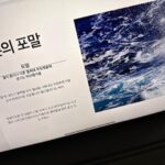 Doyoung Instagram - 이 마음이 뭔지 모르겠는 마음을 겪고 있네요. 열정과 욕심만으로 가득차서 준비한 앨범인줄 알았는데 제가 앨범과 노래를 넘치게 사랑하기 까지 했나봐요. 이 마음이 무언지는 모르겠지만 정말 이기적이게도 더 이상 제가 앨범의 무언가를 할수 없다는 생각이 드니 왜 헛헛한 마음이 드는지 모르겠어요. 하지만 정말 감사한건 이제 이 앨범은 저의 것만이 아니라 같이 고생한 우리 센터 직원분들과 시즈니들 모두의 앨범이 됐어요. 제가 사랑한 만큼 부디 큰사랑을 주시기를 바라며 노래잘하기 위해 열심히 준비하고있을게요.