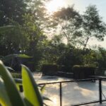 Dudu Azevedo Instagram - A vida é cheia de caminhos sinuosos, forças estranhas, ninguém está livre. Mas é lindo não parar de caminhar nunca sob a luz e a força daquilo que acreditamos verdadeiramente. Boa semana! ☀️❤️