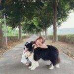 林莎 Instagram - 齁啦寶寶說我是匆匆忙忙的姐姐。 每次都匆匆忙忙的回家，又匆匆忙忙的回台北。 即便如此，每次回高雄妳總是熱情的迎接著。 進家門前總是先大聲喊著給妳取的綽號， 然後就會看到一隻搖著尾巴興奮的齁住妹。 匆匆忙忙的姐姐想謝謝妳的出現⋯ 成為家裡的五妹，帶來好多快樂。 聰明的妳一定知道我們有多愛妳吧！ 姐姐不會忘記妳開心朝我們飛奔過來的模樣。 還有好多可愛、療癒、搞笑的時光。 可以的話，妳也要記得跟我們的約定喔。 謝謝妳這些年的陪伴。HOLA，齁妹妹～愛妳