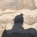 Ece Yaşar Instagram - Geçip giden buu zamanları huu Bir yerlerde bulsam? Ben:🤳