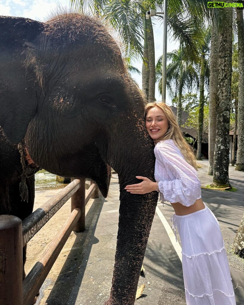 Ecenaz Üçer Instagram - 🐘🤍🌿