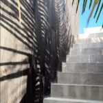 Ela Velden Instagram - El mejor spot de tulum. @umitulum gracias por todo 🥥