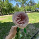 Ela Velden Instagram - I wish you roses
