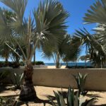 Ela Velden Instagram - Living the good life in @nobuloscabos @vivantbyrcd