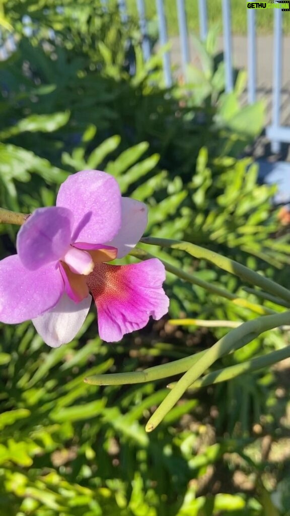 Elba Escobar Instagram - Dejando por un mes a mi bendición en la tierra en manos de Dios y la infinita sabiduría de la Naturaleza. Voy a mi tierra, a mi Ávila, a mis hermanos y mi familia adquirida mis amigos, los que siempre están aunque a veces nos alejemos y los de cerquita , a mi ciudad y hogar natural durante años , los estudios de Venevision, con su gente y sus abrazos y sus sonrisas y sus bienvenidas! Estamos todos tan felices! Que no puede ser mas que gozo. Allá voy llena de Luz y Amor