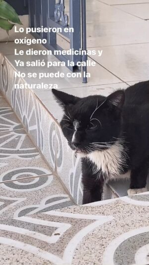 Elba Escobar Instagram - El de callejero , como debe ser, lo@estoy esperando para darle sus gotas